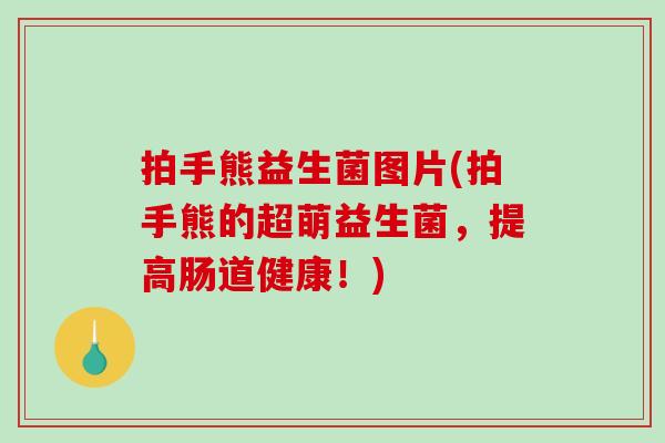 拍手熊益生菌图片(拍手熊的超萌益生菌，提高肠道健康！)