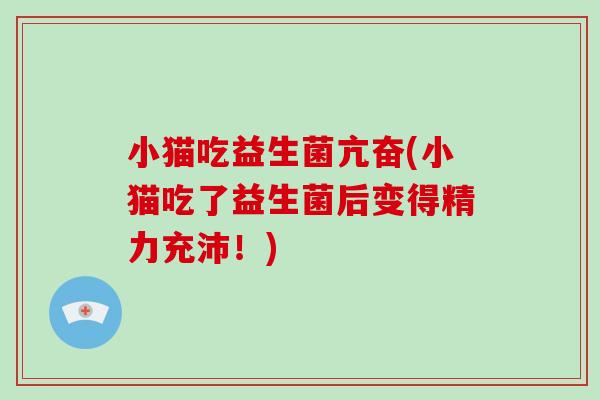 小猫吃益生菌亢奋(小猫吃了益生菌后变得精力充沛！)