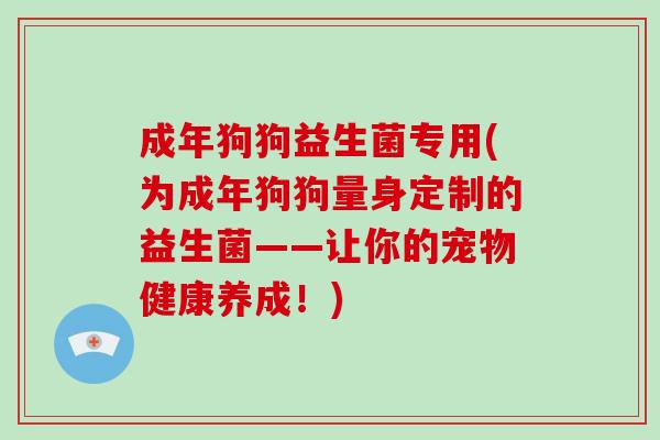 成年狗狗益生菌专用(为成年狗狗量身定制的益生菌——让你的宠物健康养成！)