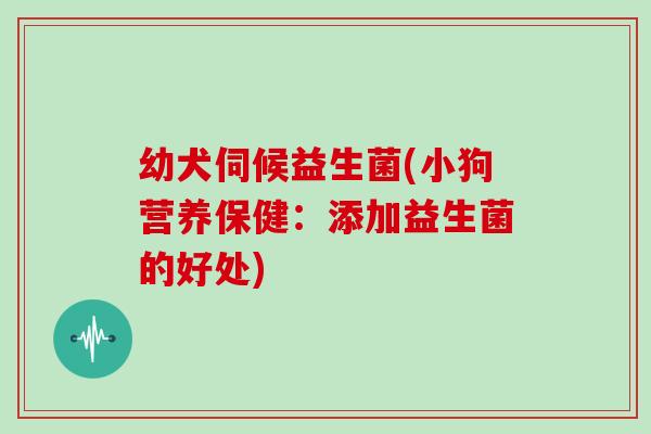 幼犬伺候益生菌(小狗营养保健：添加益生菌的好处)