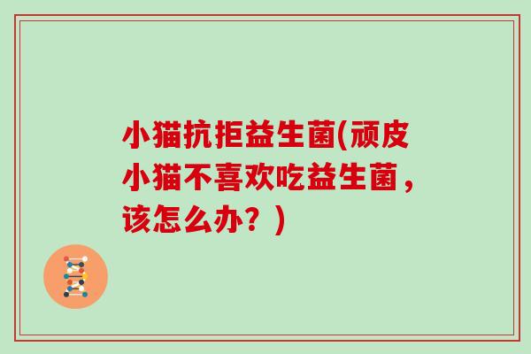 小猫抗拒益生菌(顽皮小猫不喜欢吃益生菌，该怎么办？)