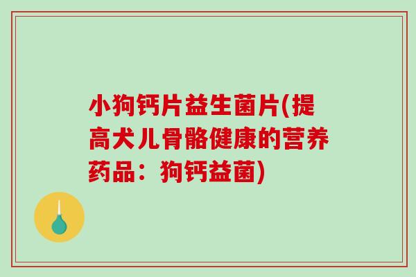 小狗钙片益生菌片(提高犬儿骨骼健康的营养药品：狗钙益菌)