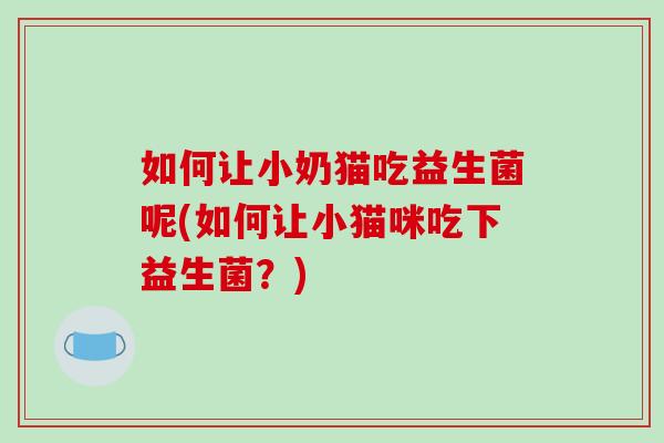如何让小奶猫吃益生菌呢(如何让小猫咪吃下益生菌？)
