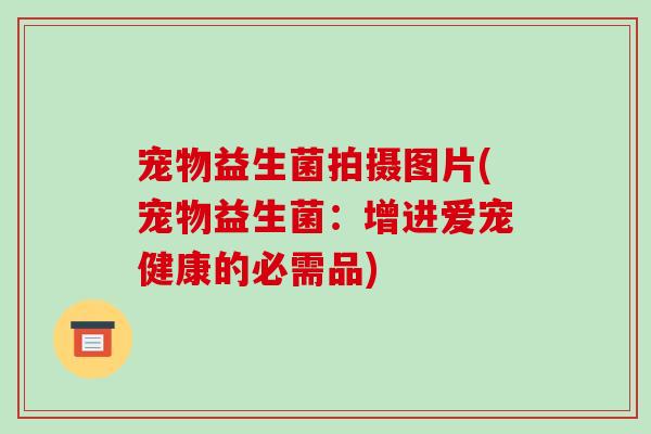 宠物益生菌拍摄图片(宠物益生菌：增进爱宠健康的必需品)