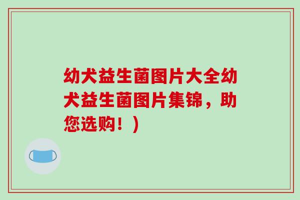 幼犬益生菌图片大全幼犬益生菌图片集锦,助您选购!) 幼犬益生菌图片大全幼犬益生菌图片集锦,助您选购!)