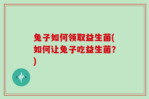 兔子如何领取益生菌(如何让兔子吃益生菌？)