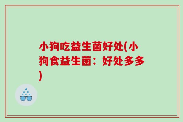 小狗吃益生菌好处(小狗食益生菌：好处多多)