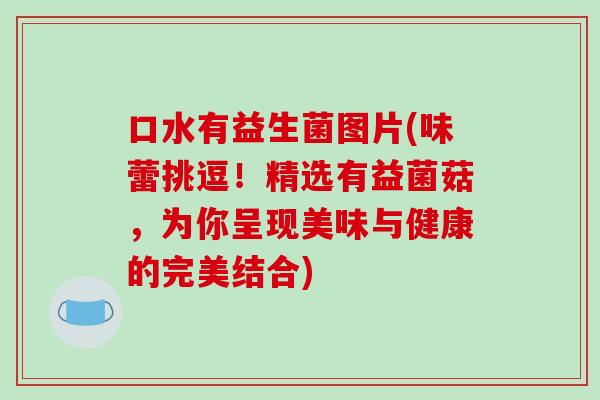 口水有益生菌图片(味蕾挑逗！精选有益菌菇，为你呈现美味与健康的完美结合)