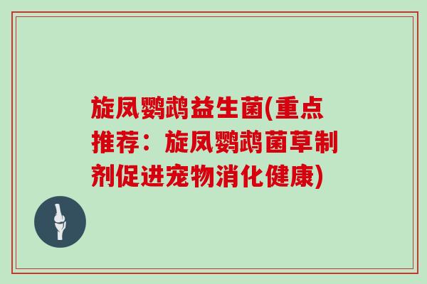 旋凤鹦鹉益生菌(重点推荐:旋凤鹦鹉菌草制剂促进宠物消化健康) 旋凤鹦鹉益生菌(重点推荐:旋凤鹦鹉菌草制剂促进宠物消化健康)