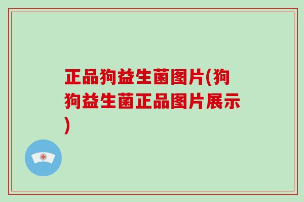 正品狗益生菌图片(狗狗益生菌正品图片展示)