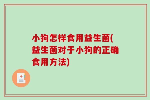 小狗怎样食用益生菌(益生菌对于小狗的正确食用方法)