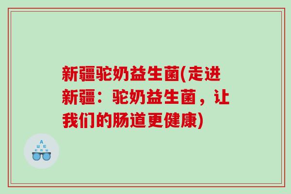 新疆驼奶益生菌(走进新疆：驼奶益生菌，让我们的肠道更健康)