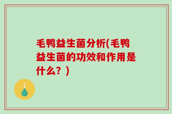 毛鸭益生菌分析(毛鸭益生菌的功效和作用是什么？)