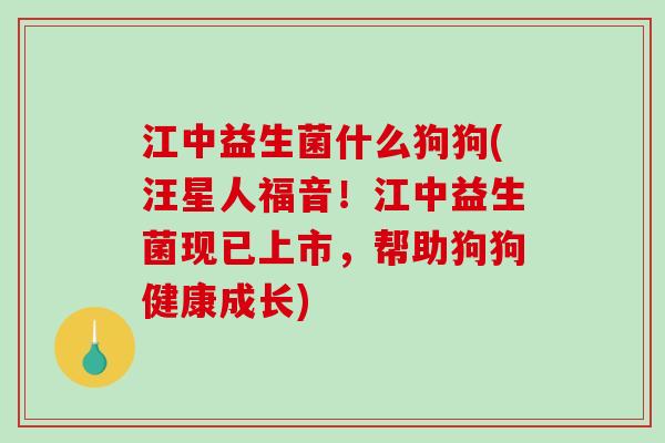 江中益生菌什么狗狗(汪星人福音！江中益生菌现已上市，帮助狗狗健康成长)