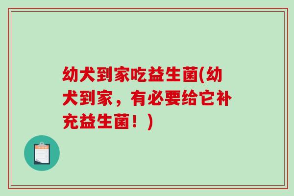 幼犬到家吃益生菌(幼犬到家，有必要给它补充益生菌！)