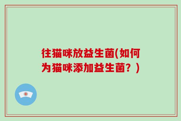往猫咪放益生菌(如何为猫咪添加益生菌？)