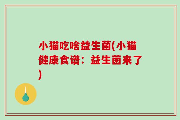 小猫吃啥益生菌(小猫健康食谱：益生菌来了)
