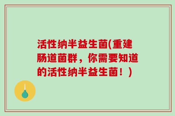 活性纳半益生菌(重建肠道菌群,你需要知道的活性纳半益生菌!) 活性纳半益生菌(重建肠道菌群,你需要知道的活性纳半益生菌!)