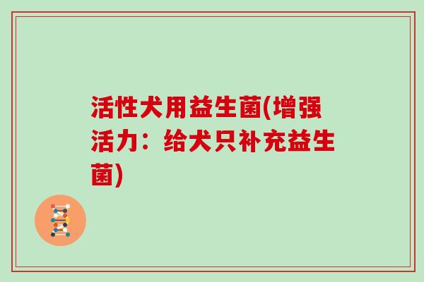 活性犬用益生菌(增强活力:给犬只补充益生菌) 活性犬用益生菌(增强活力:给犬只补充益生菌)