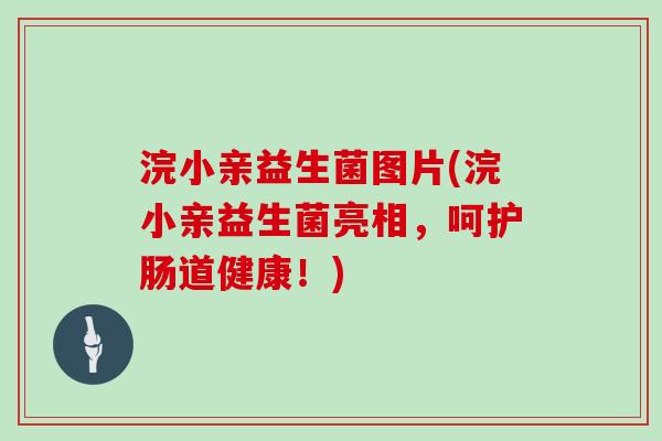 浣小亲益生菌图片(浣小亲益生菌亮相，呵护肠道健康！)