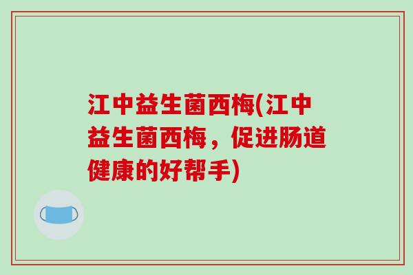 江中益生菌西梅(江中益生菌西梅，促进肠道健康的好帮手)