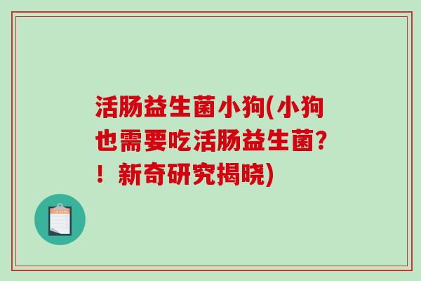 活肠益生菌小狗(小狗也需要吃活肠益生菌？！新奇研究揭晓)