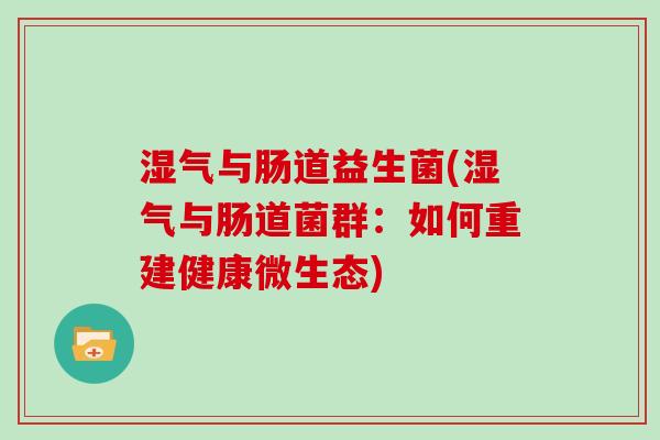 湿气与肠道益生菌(湿气与肠道菌群:如何重建健康微生态) 湿气与肠道益生菌(湿气与肠道菌群:如何重建健康微生态)
