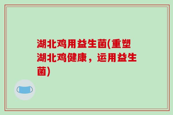 湖北鸡用益生菌(重塑湖北鸡健康，运用益生菌)