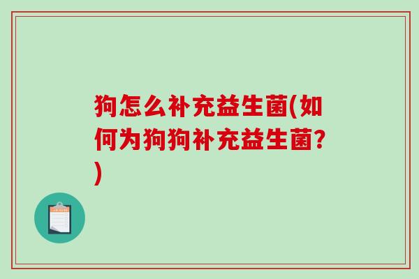 狗怎么补充益生菌(如何为狗狗补充益生菌？)