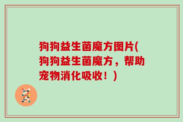 狗狗益生菌魔方图片(狗狗益生菌魔方,帮助宠物消化吸收!) 狗狗益生菌魔方图片(狗狗益生菌魔方,帮助宠物消化吸收!)