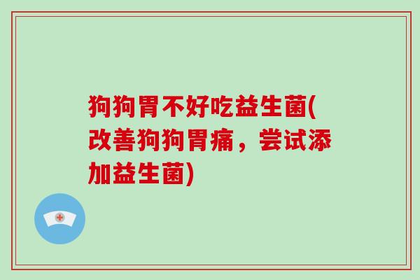 狗狗胃不好吃益生菌(改善狗狗胃痛,尝试添加益生菌) 狗狗胃不好吃益生菌(改善狗狗胃痛,尝试添加益生菌)