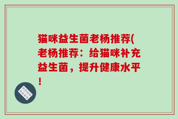 猫咪益生菌老杨推荐(老杨推荐：给猫咪补充益生菌，提升健康水平！