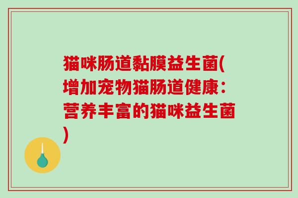 猫咪肠道黏膜益生菌(增加宠物猫肠道健康：营养丰富的猫咪益生菌)