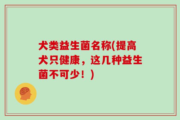 犬类益生菌名称(提高犬只健康，这几种益生菌不可少！)