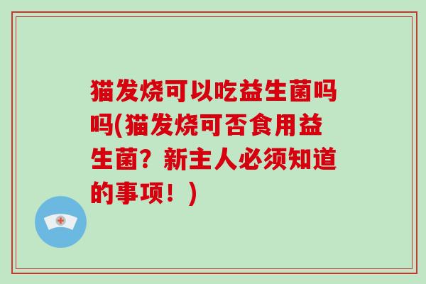 猫发烧可以吃益生菌吗吗(猫发烧可否食用益生菌？新主人必须知道的事项！)