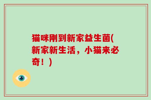 猫咪刚到新家益生菌(新家新生活，小猫来必奇！)