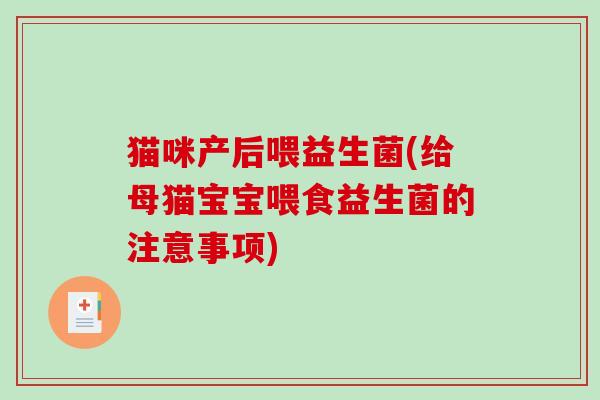 猫咪产后喂益生菌(给母猫宝宝喂食益生菌的注意事项)
