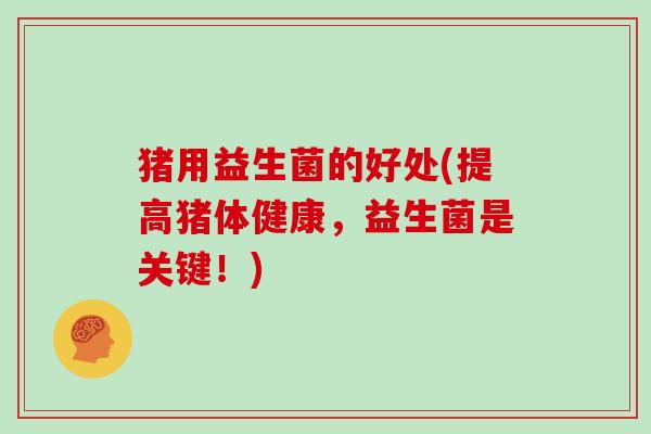 猪用益生菌的好处(提高猪体健康，益生菌是关键！)