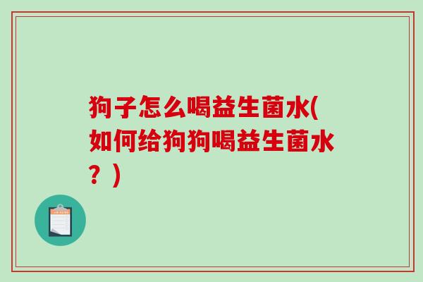狗子怎么喝益生菌水(如何给狗狗喝益生菌水？)