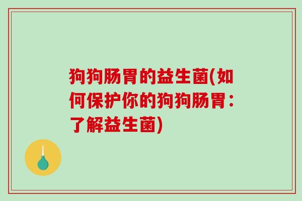 狗狗肠胃的益生菌(如何保护你的狗狗肠胃：了解益生菌)