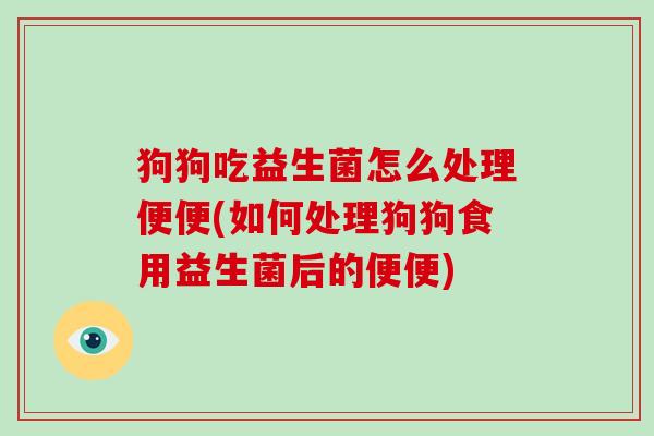 狗狗吃益生菌怎么处理便便(如何处理狗狗食用益生菌后的便便)