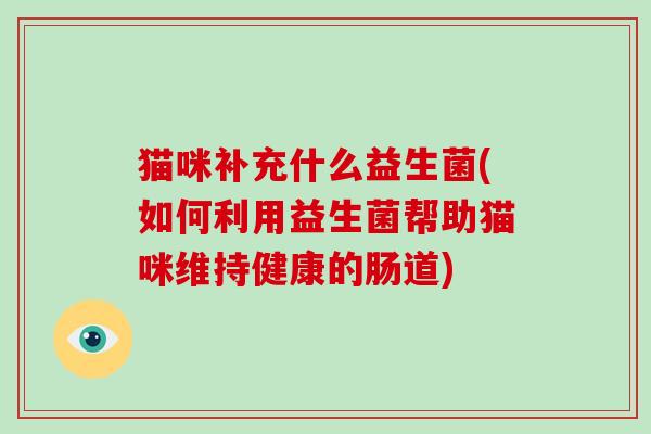 猫咪补充什么益生菌(如何利用益生菌帮助猫咪维持健康的肠道)