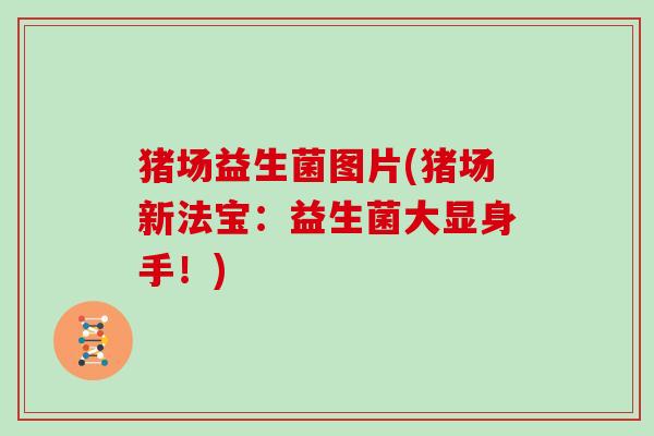 猪场益生菌图片(猪场新法宝：益生菌大显身手！)