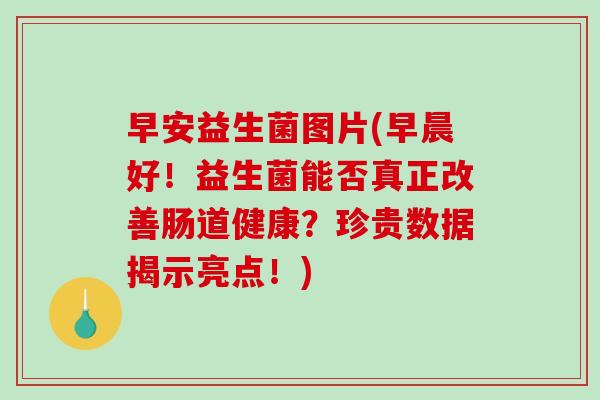 早安益生菌图片(早晨好！益生菌能否真正改善肠道健康？珍贵数据揭示亮点！)