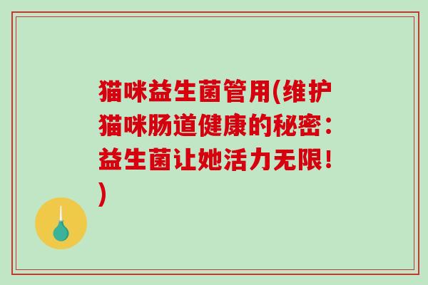 猫咪益生菌管用(维护猫咪肠道健康的秘密：益生菌让她活力无限！)