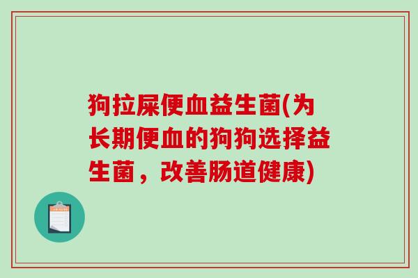 狗拉屎便血益生菌(为长期便血的狗狗选择益生菌，改善肠道健康)
