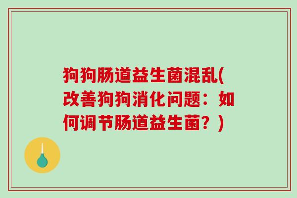 狗狗肠道益生菌混乱(改善狗狗消化问题：如何调节肠道益生菌？)