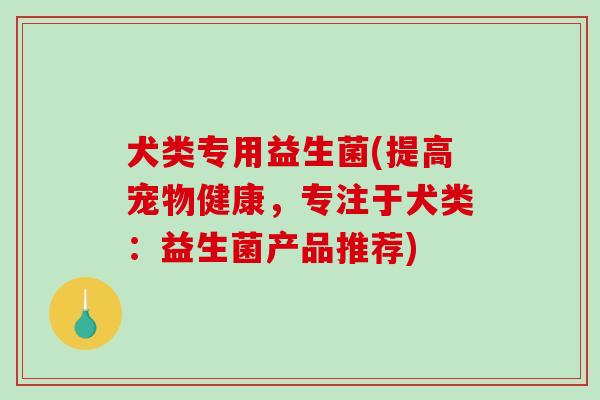 犬类专用益生菌(提高宠物健康，专注于犬类：益生菌产品推荐)