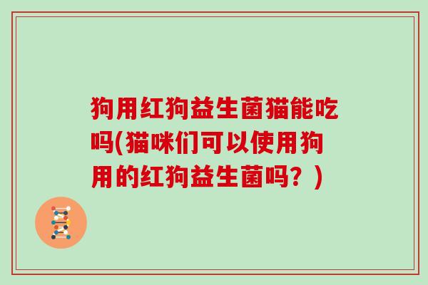 狗用红狗益生菌猫能吃吗(猫咪们可以使用狗用的红狗益生菌吗？)