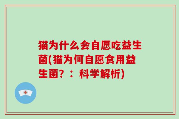 猫为什么会自愿吃益生菌(猫为何自愿食用益生菌？：科学解析)